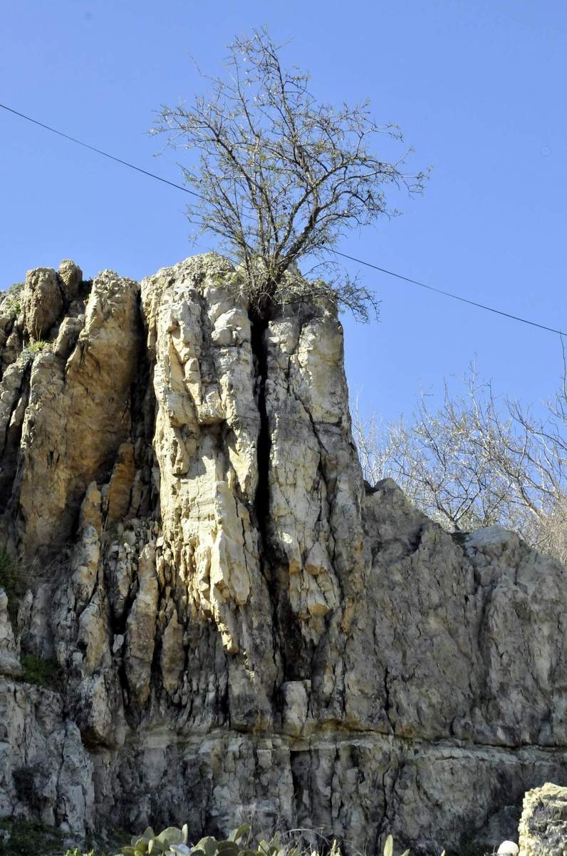 Güzelhisar Aliağa galerisi resim 26