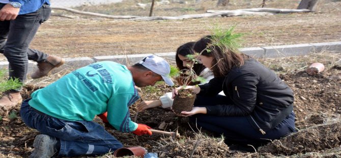 TZOB’dan Çiftçi Kayıt Sistemi İçin Son Hafta Uyarısı