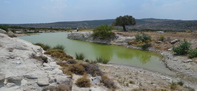 Aliağa Zengin Su Kaynaklarıyla Dikkat Çekiyor