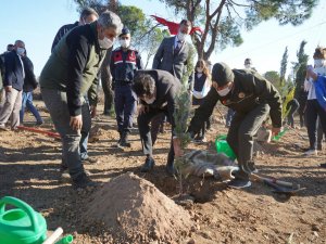 Ayvalık’ta Yanan Alana İlk Fidan