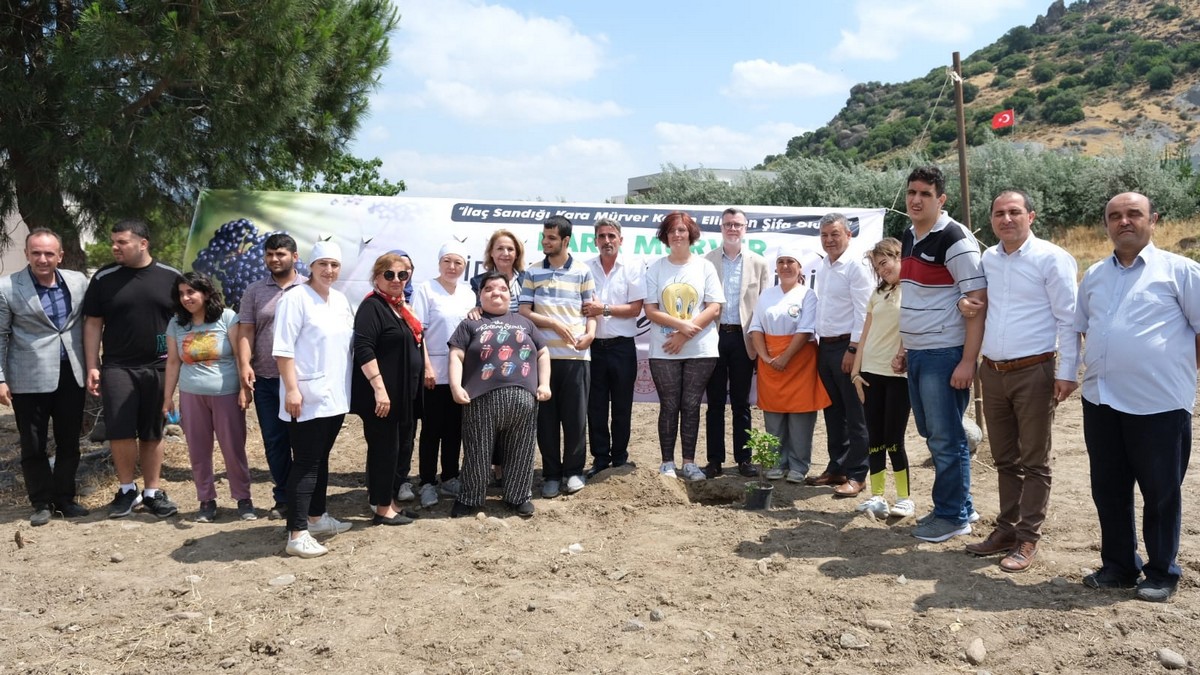 İzmir Tarımında Yeni Ürün; Kara Mürver