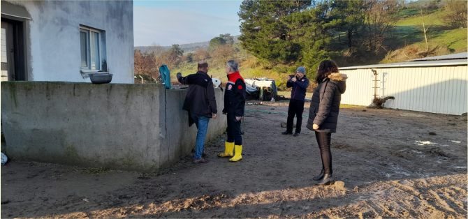 İzmir Bergama'da Çiftçilerin Zararları Tespit Ediliyor