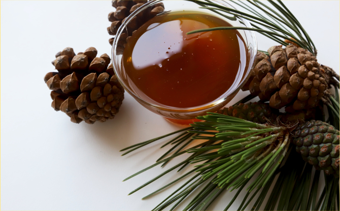 Türk Çam Balı, Manuka Balının Tahtına Göz Dikti