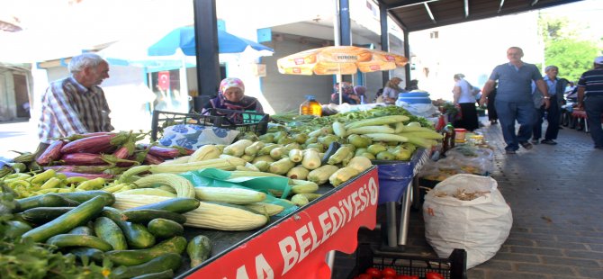 Üretici Pazarında Yaz Bereketi