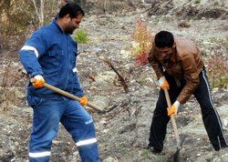 Aliağa'da Fidan Dikimi