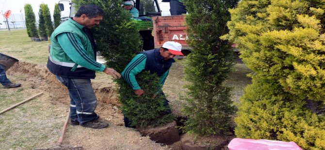 Ağapark’ta Yeşillendirme ve Ağaçlandırma Çalışması