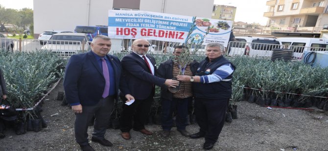 Büyükşehir’den Kırkağaç’ta Üreticiye 7 Bin 170 Zeytin Fidanı