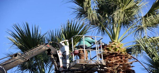 Aliağa Belediyesi’nden Eğitim Kurumlarına Kış Bakımı