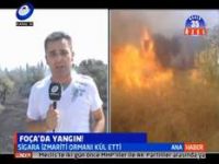 Foça'da  Zeytin Ağaçları Yandı...