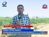 Foçalı  Çiftçiler Dertli... 