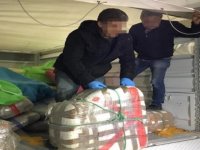 İzmir’de 200 Kilogram Daha Skunt Ele Geçirildi
