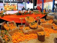 Seferihisar Turuncu Bayrama Hazırlanıyor