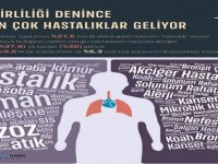 Ailelerin yüzde 87’si hava kirliliğinden kaygılı