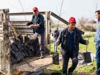 İzmir Tarımı Danışma Hattı kuraklıkla mücadele için çalışıyor