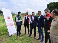 İzmir'de 17 Bin Kuşkonmaz Fidesi Üreticilere Dağıtıldı