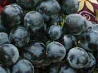 Eylül Tarım Takvimi