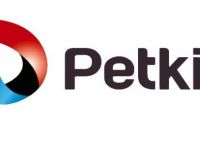 Petkim Spor Yeni Sezonda İlk Maçına Çıkıyor