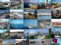 Foça Platformu'ndan Açıklama