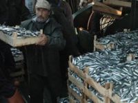 Balıkçılardan Valiye Teşekkür