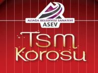 ASEV TSM Kulakların Pasını Silecek