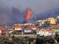 Foça Yeniden Yeşillenecek 