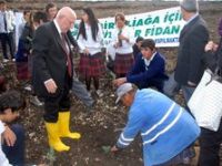 Yanan Bölgeler Ağaçlandırılıyor 