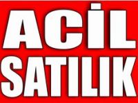 İcradan satılık Sunta fabrikası 