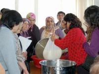 Aliağa Peynir Üretecek