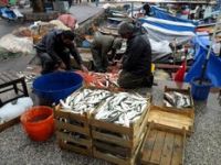 Balıkçılara Yağmur Bereketi 