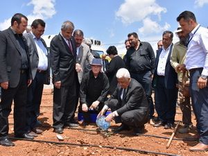 Büyükşehir Muğla’da Trüf Mantarı Üretecek