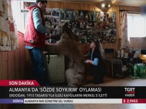 Rusyada Bir Aile 24 Yıldır Bir Ayı İle Yaşıyor